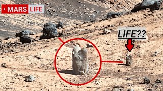 NASA Mars Rover Perseverance Sent Shocking 360° Footage of Mars Life Curiosity Rover Mars in 4K [upl. by Laurinda7]