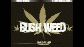 Shak Flow Loco ft Biga Ranx  BushWeed [upl. by Kirst]