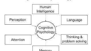 Cognitive Psychology Introduction [upl. by Cirdes]