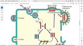 ATIVIDADE 1  FUNDAMENTOS DE MICROBIOLOGIA E IMUNOLOGIA  542024 [upl. by Neeham]