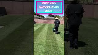 Stripes With A New California Trimmer Catalystreelmower catalyst satisfying grassfinished lawn [upl. by Anitsuga894]