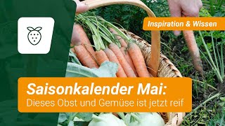 Saisonkalender Dieses Obst und Gemüse ist im Mai reif [upl. by Adyeren]