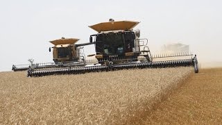 Two CLAAS Lexion Combines Harvest 80ft of Wheat [upl. by Elkraps]