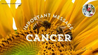 💥CANCER💥🚨MESSAGES FOR THE NEXT 72 HOURS WITH TAROT amp ANGELS🚨🃏cancer cardoftheday cancerhoroscope [upl. by Ainek]