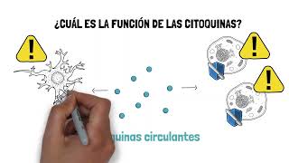 ¿Cómo evaden los poxvirus la respuesta inmunitaria  Samuel Donaire Carpio [upl. by Lyrac375]