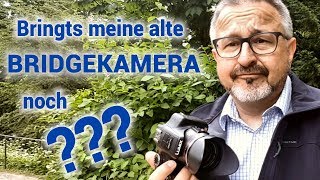 Bringts meine alte Bridgekamera noch Macht es überhaupt Sinn mit alten Kameras zu fotografieren [upl. by Ahsikal]