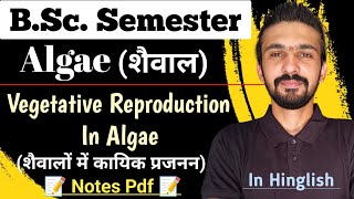 Vegetative Reproduction In Algae  Reproduction In Algae  Bsc Semester  By Dadhich Sir [upl. by Oskar]