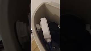 How to change the toilet handle on a Jacuzzi perfecta swp2 [upl. by Lusar692]