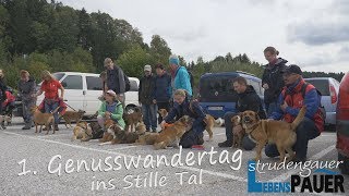 Strudengauer LebensPAUER  Leo Gradl  1 Genusswandertag ins Stille Tal [upl. by Alyn964]