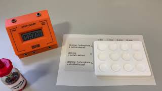 Phosphorylated substrate [upl. by Luana]