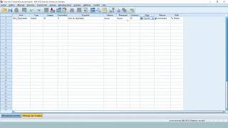 Apprenez SPSS en 30 minutes [upl. by Darej]