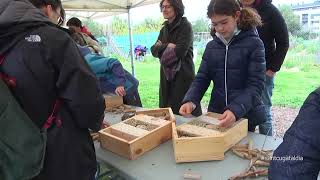 Construir un hotel dinsectes i alliberar una parella deriçons a les jornades de Biodiversitat [upl. by Bollen]