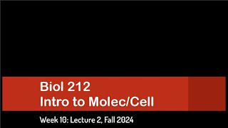 CSULB Biol 212 Fall 2024  Week 10 Lecture 2 [upl. by Barnard15]