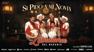 Los Labradores Del Naranjo  Si Pido A Mi Novia Audio Oficial [upl. by Nalniuq]