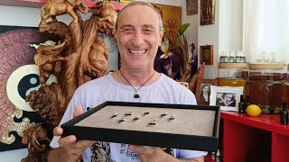 Moldavite Quartet Pendants By Healer Mark Bajerski Stunning amp Powerful Crystal Combination [upl. by Wernsman]