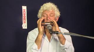 Jazz harmonica Lesson 1 Absolute Beginners Course how to play [upl. by Haniraz]