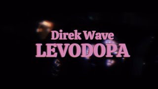 Levodopa  Direk Wave Official Music Video [upl. by Sirraj]