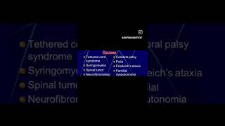 sclerosis orthophysio physiotherapy sportsphysiotherapy humananatomy [upl. by Elyag]