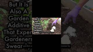 Epsom Salt Your Body and Garden Benefits [upl. by Aviv726]