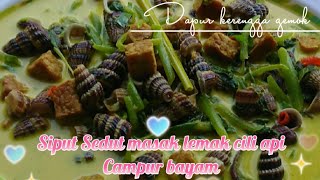 Masak lemak siput sedut [upl. by Ahsinrev]