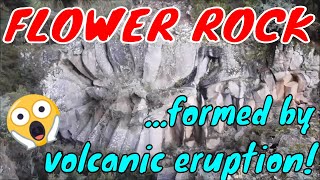 FLOWER ROCK formed by VOLCANIC ERUPTION in Tenerife Spain  Filipina Vlogger In Vienna [upl. by Eastman22]