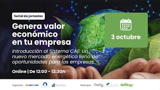 WEBINAR 1  03 octubre 2024 Serial sobre Certificados de Ahorro Energético CAEs  SOLARTYS [upl. by Dlabihcra]