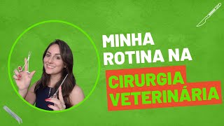 Minha Rotina na Cirurgia de Pequenos Animais [upl. by Morlee]