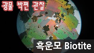 광물 흑운모 박편 관찰하기 Biotite in thin section [upl. by Lundquist745]