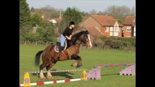 Mottingham farm riding centre [upl. by Beichner]