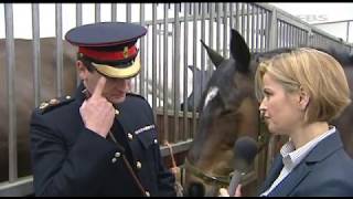 Household Cavalry On Olympic Display  Forces TV [upl. by Opalina194]