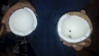 abrir coco da bahia secoDRY COCONUT HOW TO OPEN [upl. by Rema995]