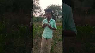 gora ho jau komedi videotrendingshorts vayralshorts ytshortsindia [upl. by Anirbes]