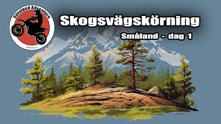 Skogsvägskörning Dag 1  Husqvarna Norden 901 KTM 690 Honda CRF250 [upl. by Laamak]