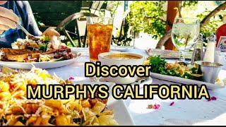 EXPLORE MURPHYS CALIFORNIA  A charming town in CA  FilipinoAmerican Life in California USA [upl. by Ahsata]