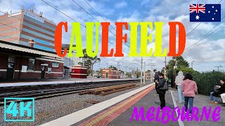 Caulfield Uncovered A Captivating Walking Tour 2023  4K [upl. by Khoury]