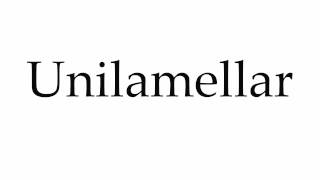 How to Pronounce Unilamellar [upl. by Nayrda]