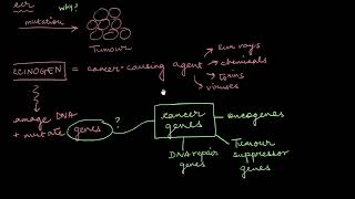 Carcinogens  Human Health and Disease  Biology  Khan Academy [upl. by Lunsford]