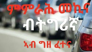 Deutsche Fahren praktisch prüfen ብ ትግሪኛ [upl. by Litton300]