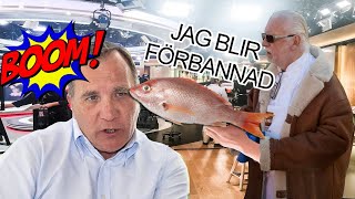 STEFAN LÖFVEN otrevlig mot LEIF MANNERSTRÖM  parodi [upl. by Fish654]