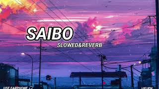 SAIBO🤍  SLOWEDampREVERB  LOFI  lofi8pm lofi bollywoodlofi stresslofi slowedandreverb [upl. by Akirdnas]