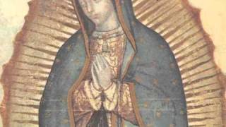 La historia de las apariciones de la Virgen de Guadalupe [upl. by Ahrens290]