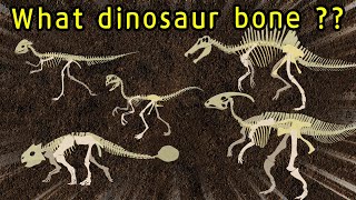 Dinosaur bone puzzle game  Find the dinosaur bones  What did the dinosaurs eat공룡의 뼈를 찾아라딩동TV [upl. by Enaerb825]