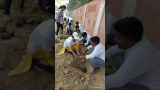 Plantation drive at GOVT BOYS SRSECSCHOOL JHARODA KALAN NEW DELHI on 05 Nov greendelhi [upl. by Glynias667]