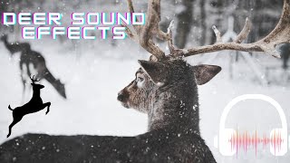 Deer sound effect  Deer sounds 4 types of deer sounds [upl. by Aserat]