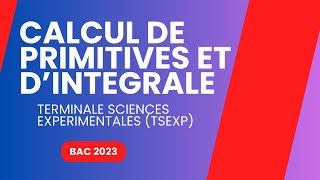 CALCUL DE PRIMITIVES ET DINTEGRALE  CORRECTION BAC 2023 TSExp [upl. by Poock]