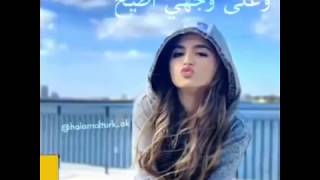 Hala Al Turk OMG shes So Beautiful  New Cover  2019 [upl. by Maloy]