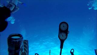 Paradise Reef Dive  Cozumel MX  GoPro Hero3 Black [upl. by Duntson201]