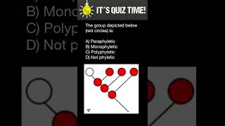 Monophyletic Paraphyletic Polyphyletic groups [upl. by Nerfe80]