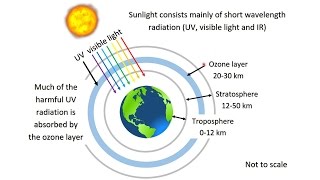 53 The formation and destruction of ozone SL [upl. by Nnairahs]