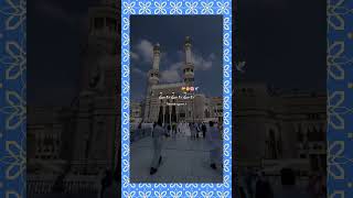 Marina sharif vairalvideo tarotreading mkmaststarmdminhajraza shotsvideo [upl. by Anair]